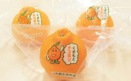 長期熟成 蔵熟 デコポン 約2.5kg 【2026年4月上旬発送開始】 蜜柑 みかん ミカン 柑橘 かんきつ くだもの 果物 フルーツ 国産