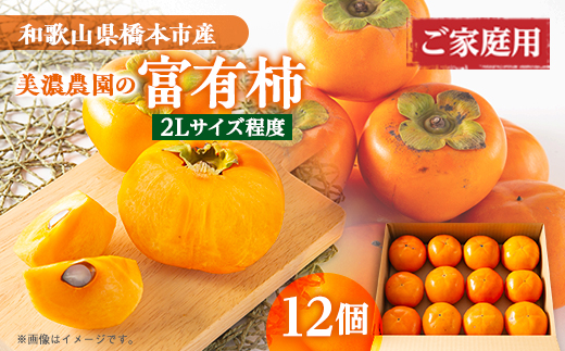 
                  和歌山県産　美濃農園の富有柿　ご家庭用　12個(2Lサイズ程度)【1253533】
                