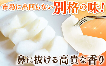【100年続く梨農家直送 / 化粧箱入り】麗（秋麗）5-6個（約2.3kg） / 梨 なし 伊万里梨 フルーツ 果物 / 佐賀県 / 大川三世代[41AEAB008]