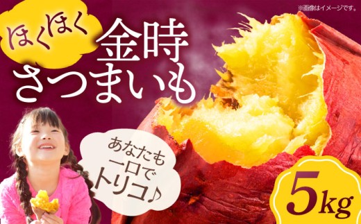 さつまいも（ 金時 ）5kg 愛媛県大洲市/愛たい菜[AGAP012] いも 芋 さつまいも 薩摩芋 さつま芋 野菜 野菜セット やさい やさいセット 新鮮野菜 愛媛県産 大洲市産 産地直送 おすすめ 人気 お取り寄せ 送料無料 贈答 ギフト