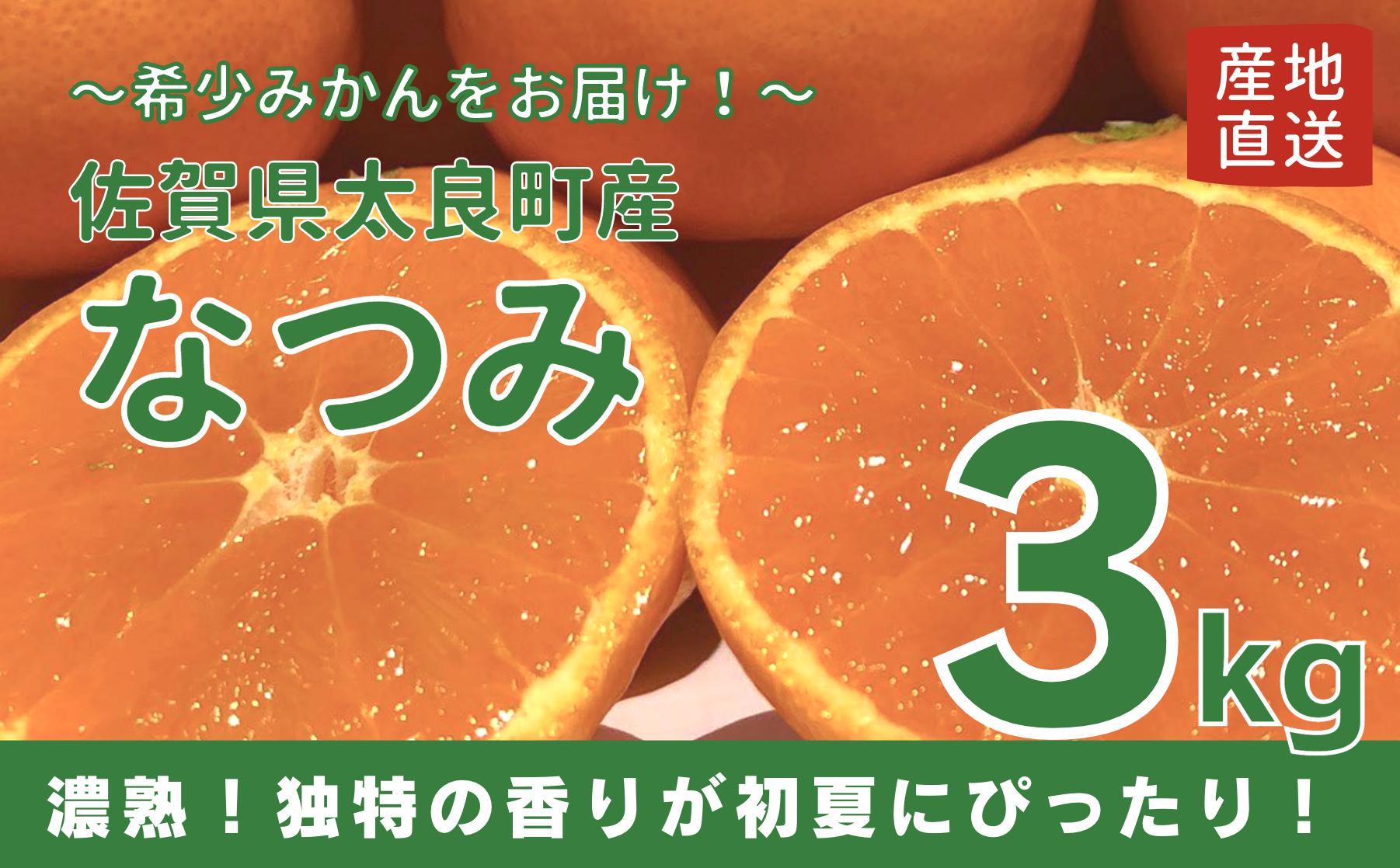 
【佐賀県太良産】山本農園『なつみ 3kg』（4月下旬～出荷予定）
