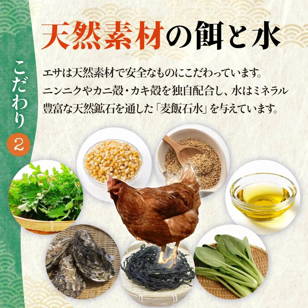 卵 純国産鶏 朝どり 厳選卵 30個 割れ保証付き 6ヶ月定期便