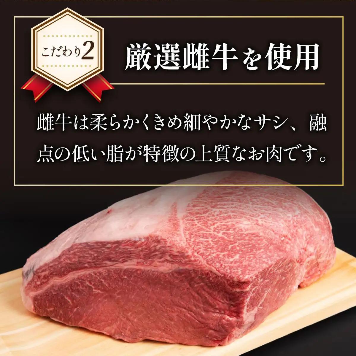  ＜定期便・全12回＞博多和牛100％！贅沢本格 手ごねハンバーグ 10個【久田精肉店】