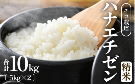 【先行予約】【令和8年産 新米】 エコ栽培ハナエチゼン 精米10kg （5kg×2袋） ／ 鮮度抜群 福井県産 はなえちぜん ご飯 新鮮 白米 ※2026年9月上旬以降順次発送予定 [aw063-b010]