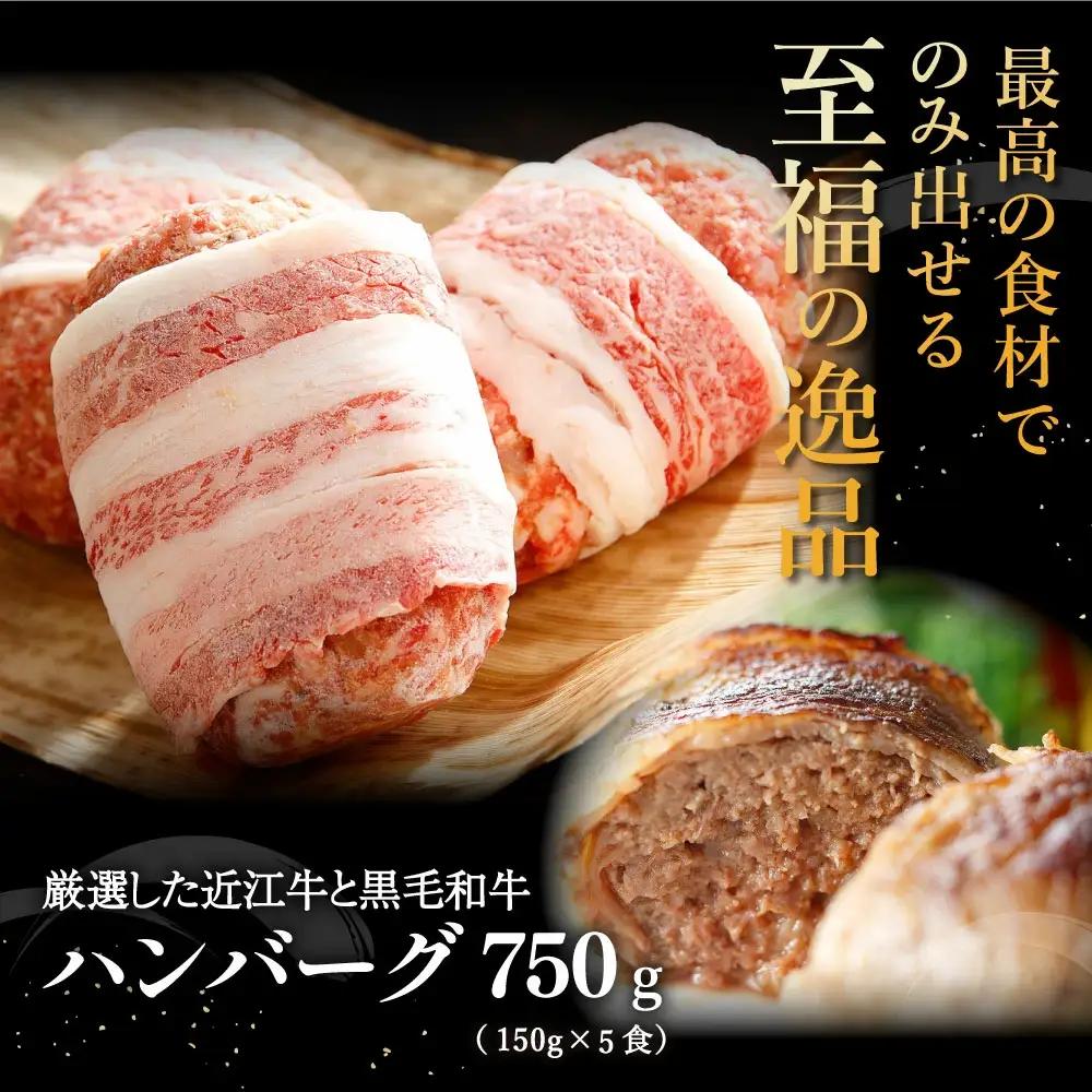 ハンバーグ 近江牛 プレミアム 750g (約 150g × 5個 ) ブランド 牛肉 黒毛和牛 【Y095W】
