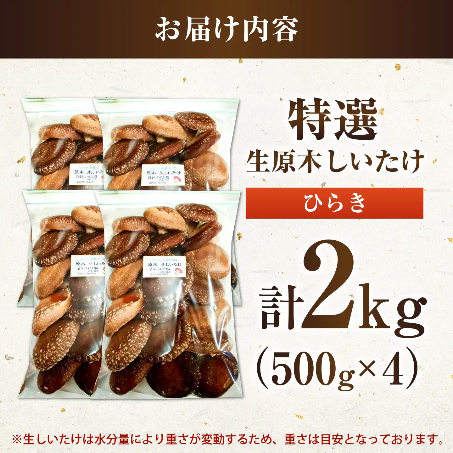 生しいたけ ひらき 2kg / 清水しいたけ園[AWAY007]椎茸
