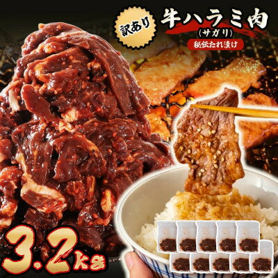 【ふるさと納税】秘伝たれ漬け 訳あり 柔らか牛ハラミ(サガリ)肉 味付け合計3.2kg 小分け10パック【配送不可地域：離島】【1718569】