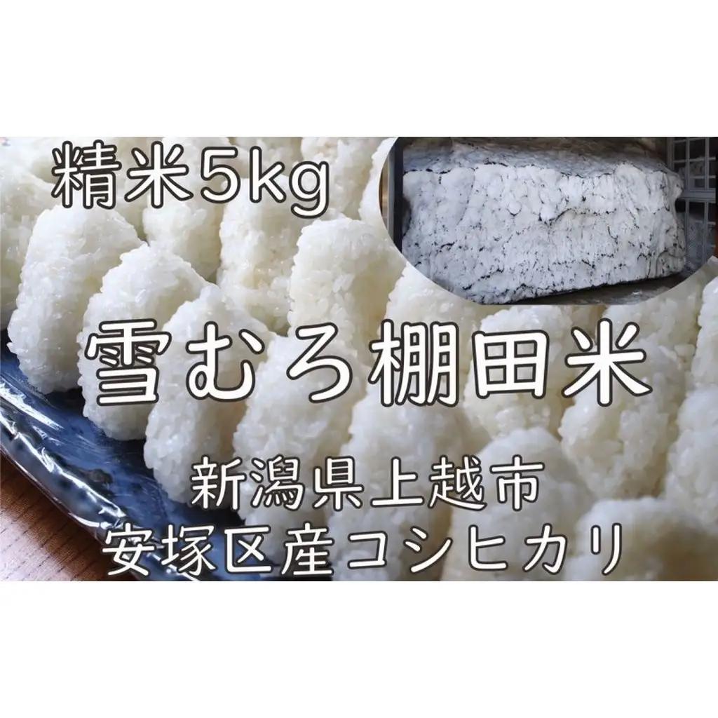 棚田米 コシヒカリ 雪中貯蔵 精白米 コシヒカリ 5kg