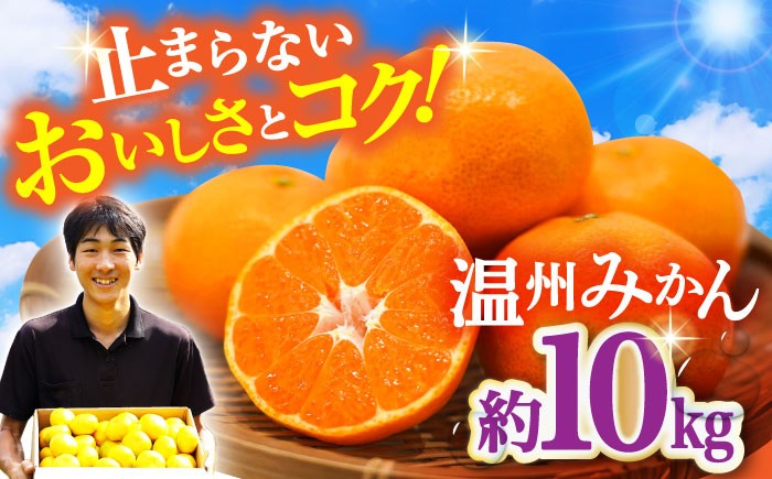 
            【先行予約・11月中旬発送開始】長崎県産 温州みかん 約10kg / みかん 柑橘 10kg フルーツ 果物 / 大村市 / 山光農園[ACAI003]
          