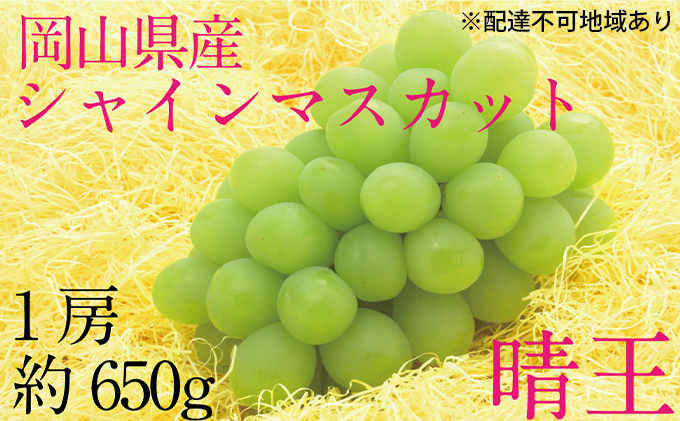 ぶどう 2025年 先行予約 シャイン マスカット 晴王 1房 約650g  ブドウ 葡萄  岡山県産 国産 フルーツ 果物 ギフト
