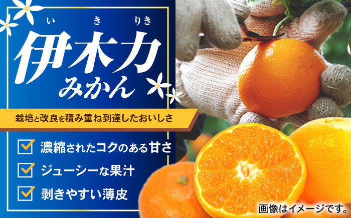 冷凍 伊木力みかん 1.6kg(400g×4袋) / みかん ミカン 蜜柑 冷凍みかん 伊木力みかん 冷凍 / 諫早市 / 山野果樹園 [AHCF006]