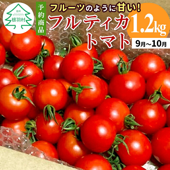 【ふるさと納税】予約品※2025年9月～10月発送 フルーツのように甘い フルティカトマト 1.2kg 令和7年度産 ※予約商品※ 割れ保障付 数量限定 高評価 トマト 中玉 野菜 人気 新鮮 産地直送 甘い 高糖度 完熟 リコピン ビタミン 美容 美肌 トマト ミニトマト 5000円 5,000円
