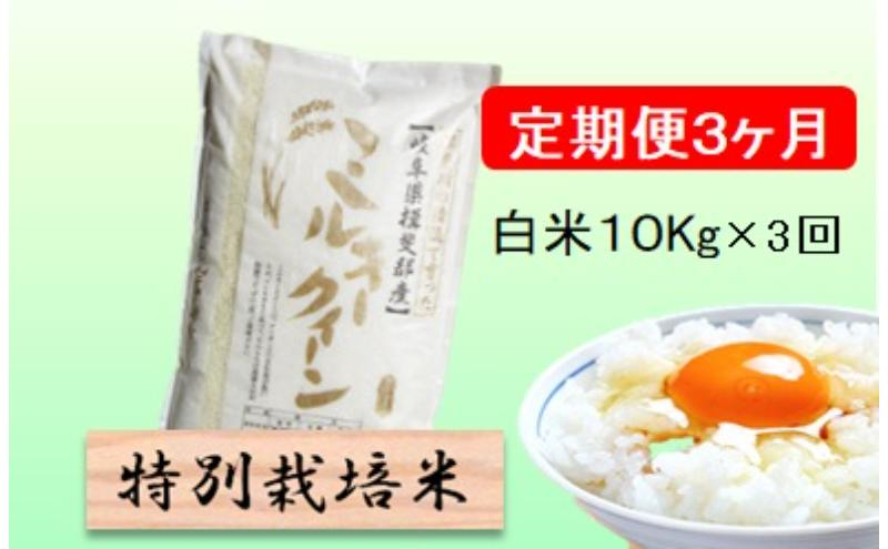 
                  特別栽培米★[定期便] 3カ月★毎月 白米10kg【ミルキークイーン】 米 お米 白米 ミルキー クイーン 定期 岐阜県 池田町 [№5644-1553]
                