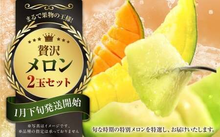 『まるで果物の王様！贅沢メロン』 2玉セット  1箱 熊本県産  【2026年1月下旬発送開始】フルーツ くだもの 果物 メロン 果実 果肉 おやつ 国産