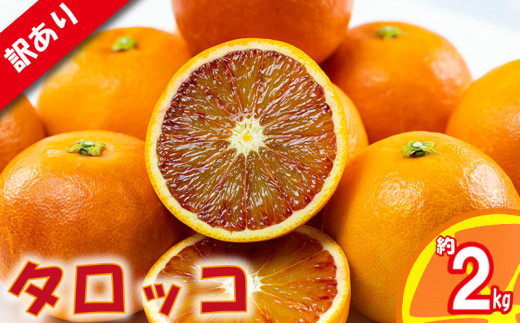 【順次発送中】訳あり みかん 家庭用 ブラッドオレンジ タロッコ 約2kg ( 訳あり みかん 訳あり柑橘 訳あり商品 ブラッドオレンジ タロッコ みかん 柑橘 松山 愛媛県 )