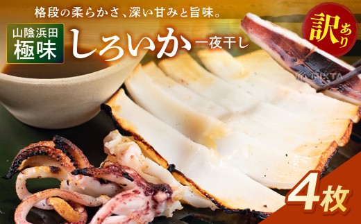 山陰浜田極味 訳あり シロイカ（ケンサキイカ）一夜干し 4枚 いか 一夜干し 白いか 訳あり ひもの 干物 剣先イカ 【164_1834】