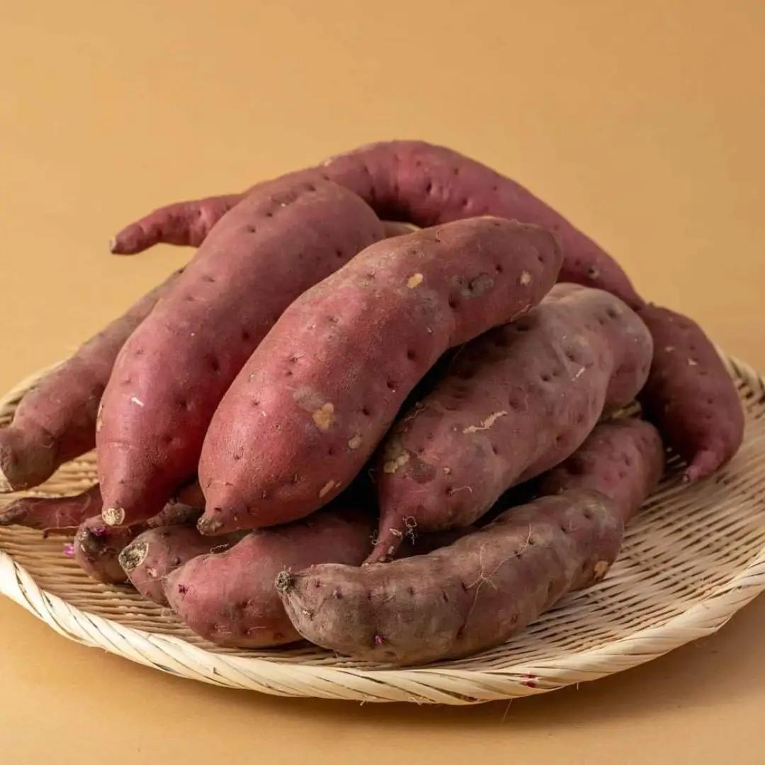 由栗いも使用「まいこのスイートポテト」特大（500g）2個