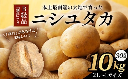 【先行予約】【B級品】(割れ) じゃがいも 馬鈴薯 (バレイショ) ≪2L～L≫ 約10㎏×1箱 /品種ニシユタカ (約30個) ≪2026年3月20日頃より順次発送≫ CS-2 |  家庭用 南大隅町産 産地直送 旬 ポテト ジャガイモ ばれいしょ 新じゃが 春じゃが 春作 国産 鹿児島県 南大隅町 地域商社推進機構