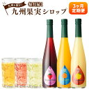 【ふるさと納税】【3ヶ月定期便】 九州を飲む！ 毎月届く九州果実シロップ 合計1.5L 500ml×3回 定期便 デコポン あまおう 日向夏 柑橘 果実 シロップ 果汁 はちみつ ハチミツ 国産 九州 送料無料