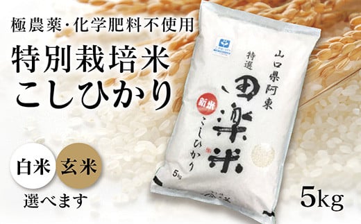 D176 「田楽米」コシヒカリ5kg≪エコやまぐち50認証取得≫