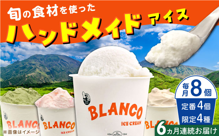 
            【全6回定期便】ハンドメイドアイスクリーム 6種 食べ比べ  8個セット 詰め合わせ アイスクリーム ジェラート 熊本 山都町 アイス【BLANCO ICE CREAM】[YCM007] 
          