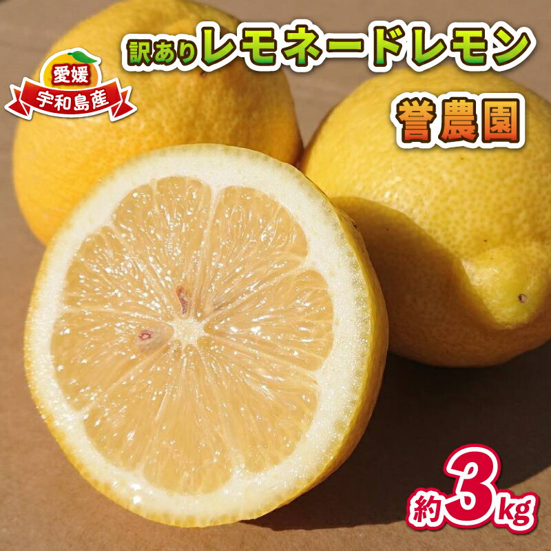【ふるさと納税】 訳あり レモネード レモン 3kg 誉農園 国産 先行予約 希少 果汁 酸味 甘い 爽やか 果実 果物 くだもの フルーツ ビタミン 柑橘 みかん 蜜柑 mikan 数量限定 農家直送 産地直送 国産 愛媛 宇和島 B010-138014
