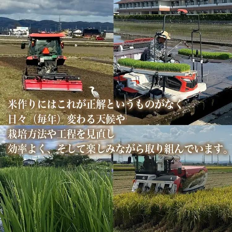 【6ヶ月定期便】【射水市】【射水の美味しいお米】R8年産 百姓一家のコシヒカリ 5kg【精米】 ※2026年10月～発送