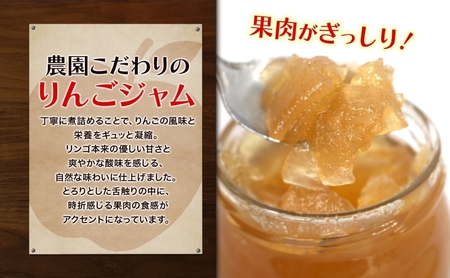 りんごジャム 3個 セット リンゴ ジャム 林檎 りんご フルーツジャム 朝食 トースト ヨーグルト トッピング パンケーキ 手づくり 贅沢 贈り物 プレゼント 手土産 ギフト 送料無料 お取り寄せ 
