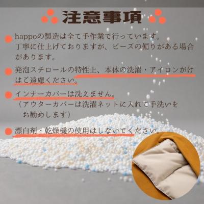 ふるさと納税 宍粟市 大切な人に贈りたい「 発泡ブランケット 」　BN1　 |  | 03