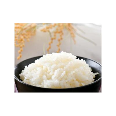 ふるさと納税 宝達志水町 【3回 定期便 】米 コシヒカリ「弘宝米」 精米 5kg 総計 15kg [38601282] |  | 01