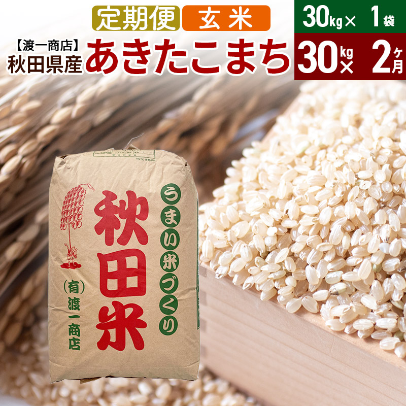 《定期便2ヶ月》 あきたこまち 玄米 30kg（30kg×1袋） 秋田県産 令和5年産
