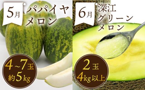 【3回コース】果物屋が選ぶ旬のフルーツ定期便 いちご メロン びわ みかん 梨 柿 など / 南島原市 / 贅沢宝庫 [SDZ024]