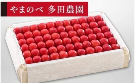 《2026年先行予約》【特選佐藤錦】桐箱詰 約1,100g【やまのべ多田耕太郎のさくらんぼ 多田農園】期間限定 数量限定 F4A-0011