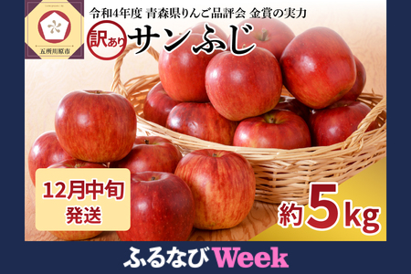 【ふるなびWEEK対象】【2025年12月中旬発送】【訳あり】りんご 青森産 約5kg サンふじ FN-Limited-PR