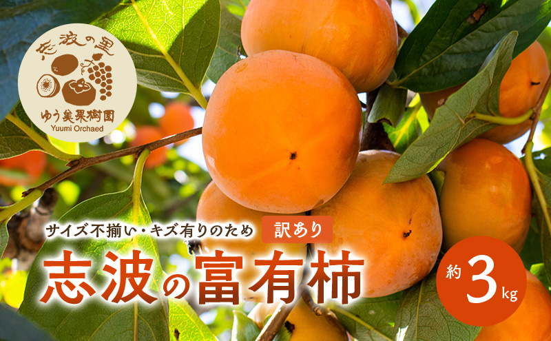 【朝倉市制施行20周年記念企画】  2026年12月発送　訳あり 規格外品　志波の富有柿 約3kg 柿 ※配送不可：離島
