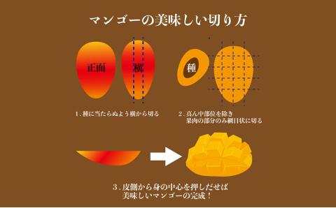 【2024年発送】A4ランク　絶品！甘くてジューシーうるマルシェの贈答用完熟マンゴー 約2kg マンゴー　アップルマンゴー　完熟　糖度　甘い　ジューシー　アーウィン　うるマルシェ　うるま市　沖縄