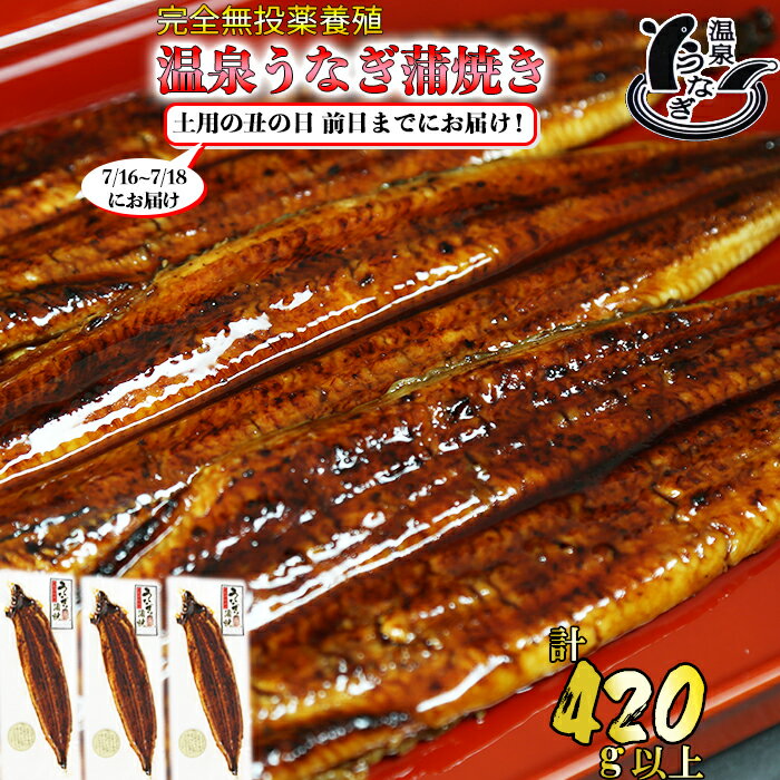 【ふるさと納税】【まだ間に合う 土用の丑 7/24(水)までにお届け 】 完全無投薬養殖 国産 温泉うなぎ蒲焼 3尾 （140gサイズ）＜104-061_5＞