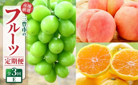 【ふるさと納税】【配送不可地域：北海道・沖縄県・離島】産地厳選三豊のフルーツ３回定期便E  秋 旬