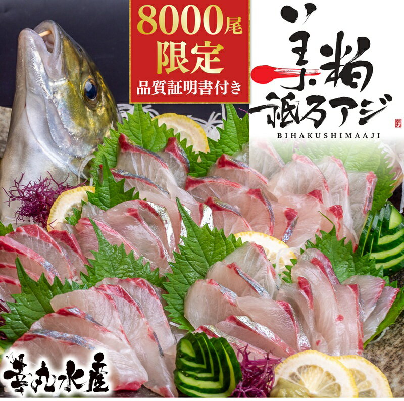【ふるさと納税】 高級 シマアジ 美粕祇万アジ 250 ～ 500g フィーレ カマ アラ付 高級魚 刺身 刺身用 縞鯵 鯵 海鮮 鮮魚 新鮮 魚介 冷凍 魚 さかな 小分け 高知県 須崎市 SCM001-all