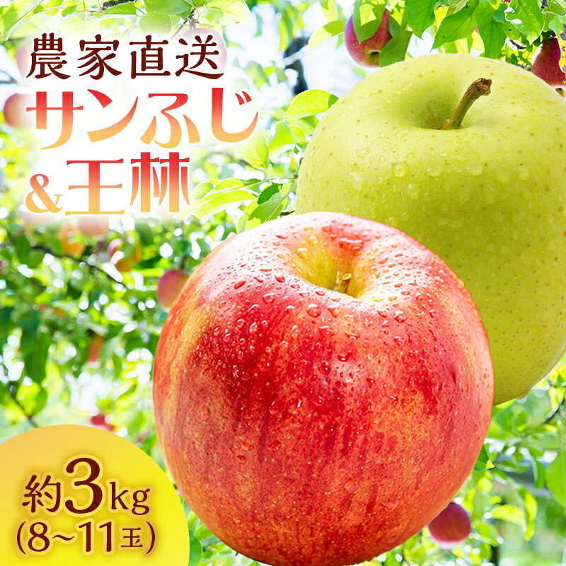 【ふるさと納税】サイキチ農園のサンふじ 王林 約 3kg (8～11玉)青森県鰺ヶ沢町産りんご 　お届け：2025年11月15日～2026年1月10日