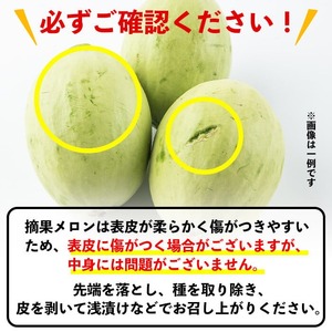 【期間限定・数量限定】鹿児島県志布志産 摘果メロン(子メロン・小メロン) 2kg a0-330