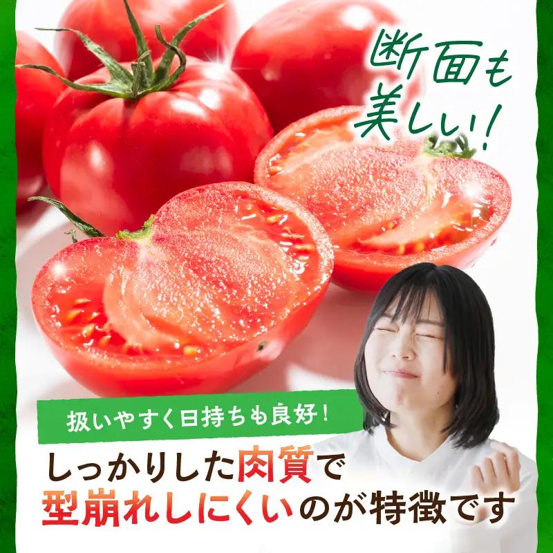 【トマト】京トマト 2kg（2026年5月中旬～発送）