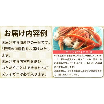 ふるさと納税 鹿部町 北海道の海鮮<おたのしみ福袋> 訳あり 5種 最大3kg SM50-3 |  | 02