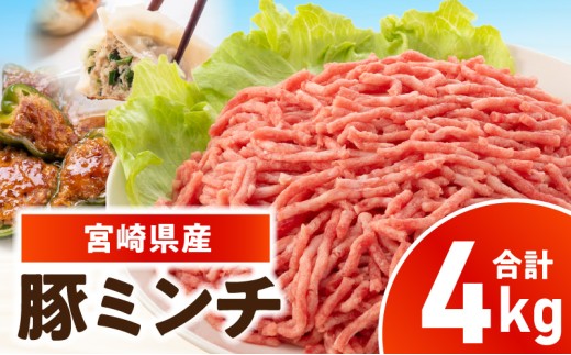宮崎県産豚ミンチ 4kg_kn126-002-040