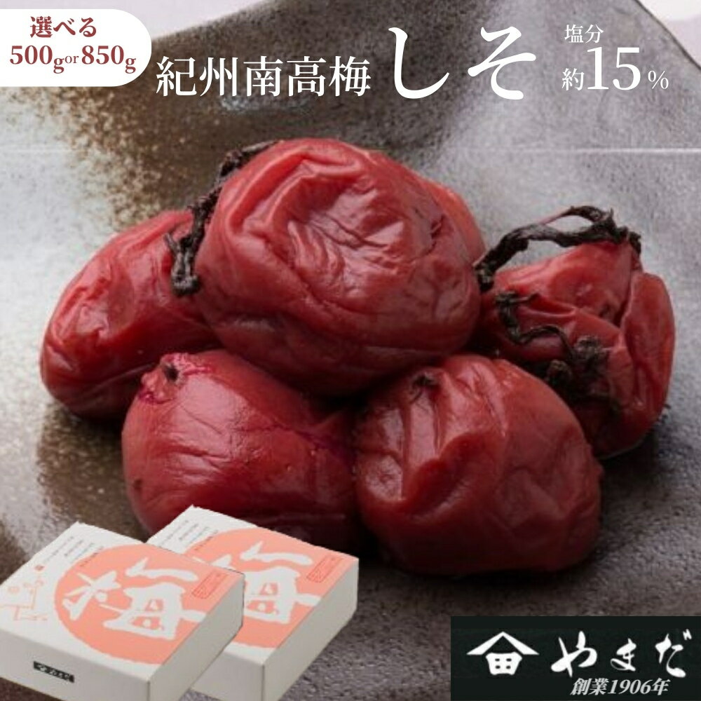 【ふるさと納税】紀州南高梅 しそ（塩分約15%） 500g～850g | 梅干し 南高梅 梅 うめ 紫蘇 しそ漬け
