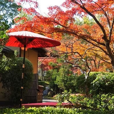 
            八幡市立松花堂庭園・美術館 ペアチケット 松花堂 観光 体験 チケット 券 庭園 美術館 展示 鑑賞 旅行 トラベル 利用券 松花堂 人気 おすすめ ふるさと納税 京都 八幡 八幡市
          