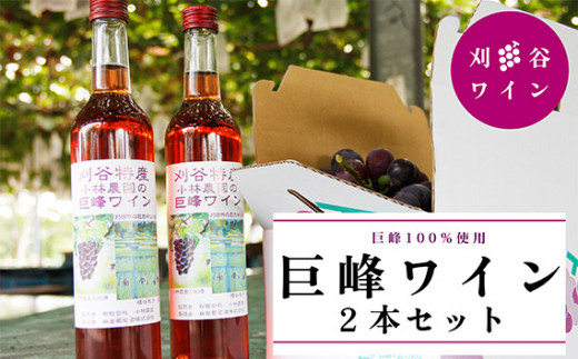 小林農園　巨峰ワイン2本セット ／ お酒 ロゼワイン 葡萄 ブドウ 愛知県 特産品 No.070