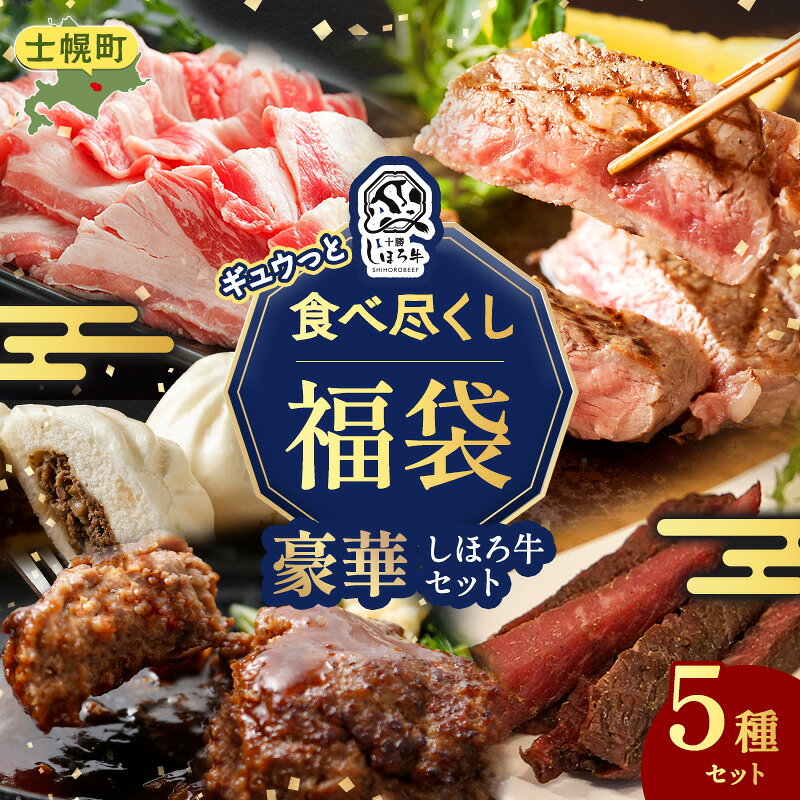【ふるさと納税】2026年 北海道 しほろ牛 ギュウっと 食べ尽くし 福袋 5種 しほろ牛 サーロイン 切り落とし ハンバーグ 肉まん ビーフジャーキー 牛肉 肉 詰め合わせ セット お取り寄せ 道の駅 ピア21しほろ 送料無料 十勝 士幌町 30000円