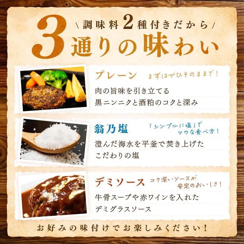 ハンバーグ定期便隔月3回 塩で食べるやわらかハンバーグ ソース付