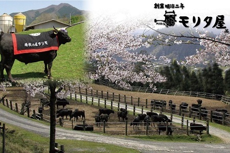 【モリタ屋】京都肉 すき焼き用 500g 肩ロース 国産和牛  [020MT003]